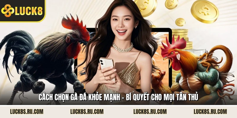 Cách Chọn Gà Đá Khỏe Mạnh - Bí Quyết Cho Mọi Tân Thủ