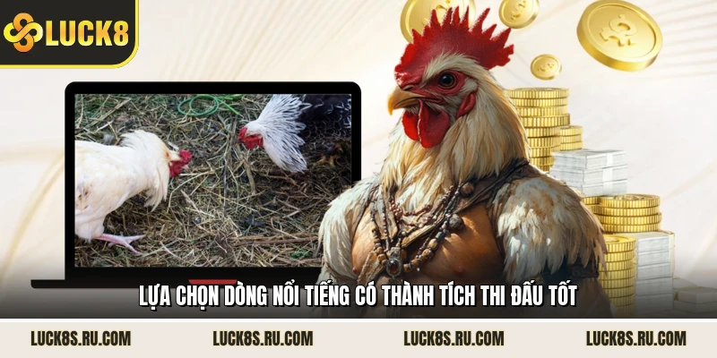 Lựa chọn dòng nổi tiếng có thành tích thi đấu tốt