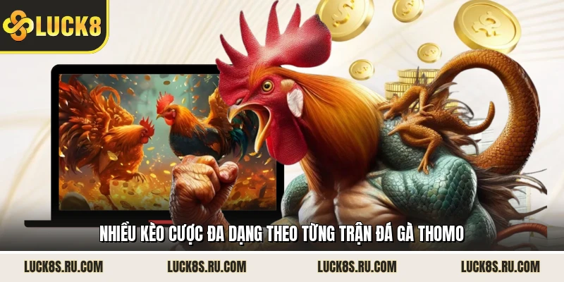 Nhiều kèo cược đa dạng theo từng trận đá gà Thomo