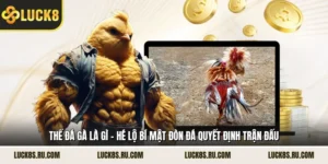 Thế Đá Gà Là Gì - Hé Lộ Bí Mật Đòn Đá Quyết Định Trận Đấu