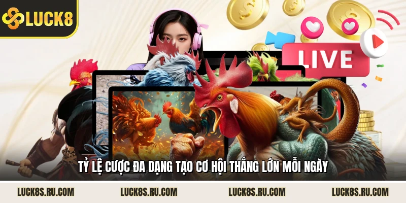 Tỷ lệ cược đa dạng tạo cơ hội thắng lớn mỗi ngày
